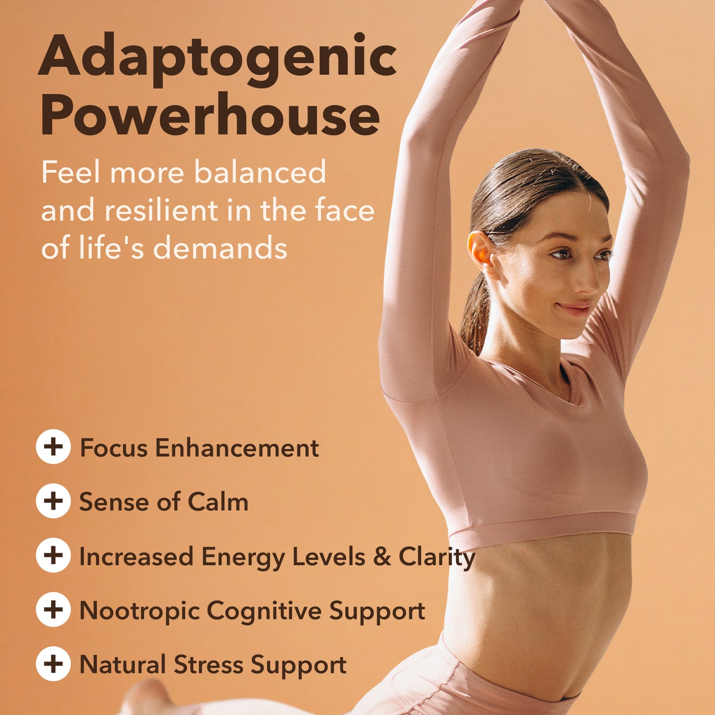 USDA Organic Mushroom Complex with 10 Mushrooms & Ashwagandha