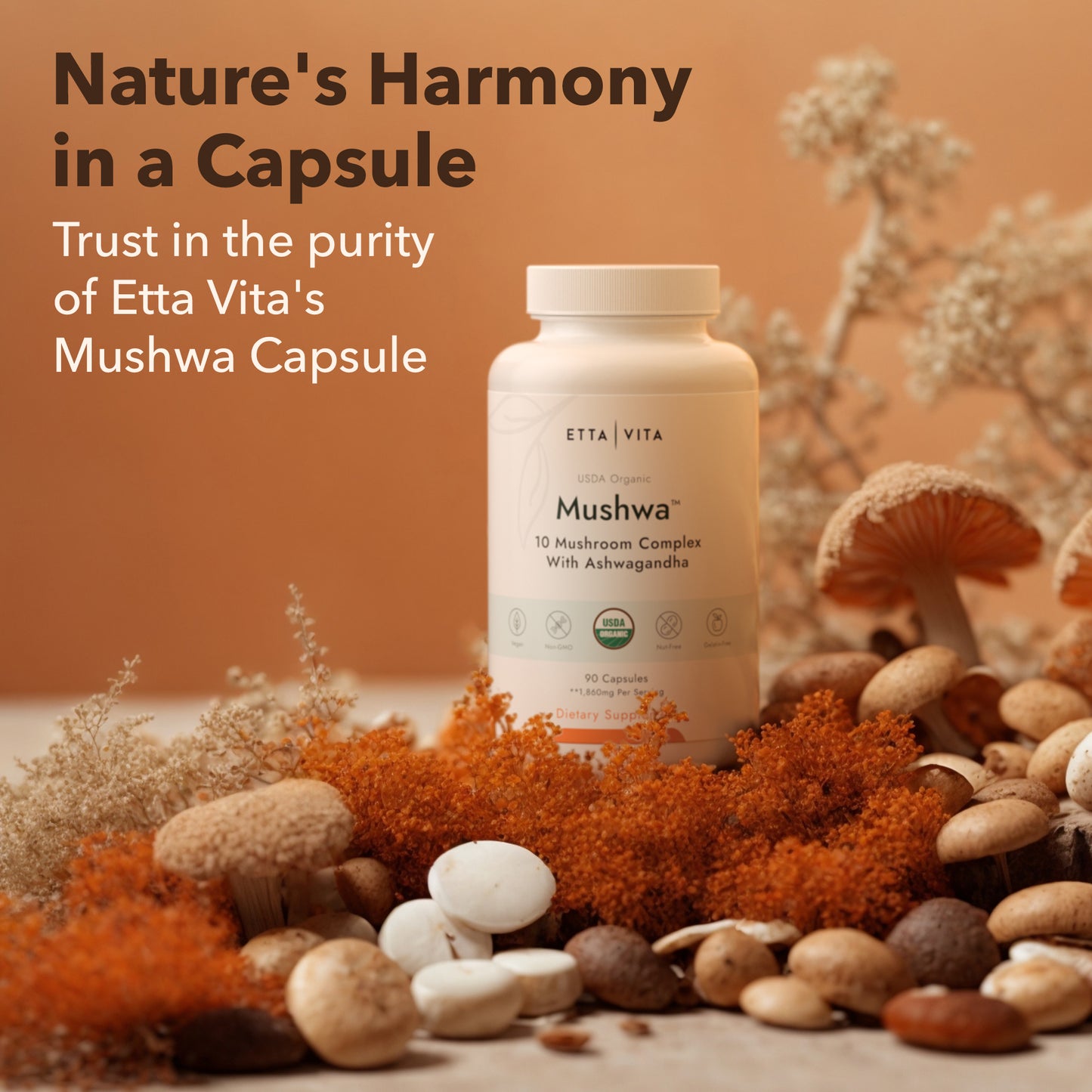 USDA Organic Mushroom Complex with 10 Mushrooms & Ashwagandha