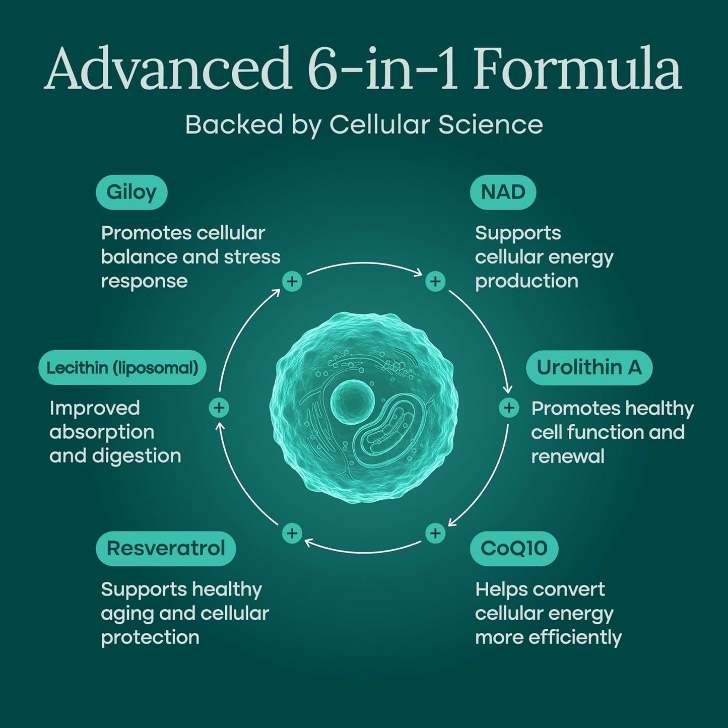 NAD+ Liposomal (NMN Alternative)