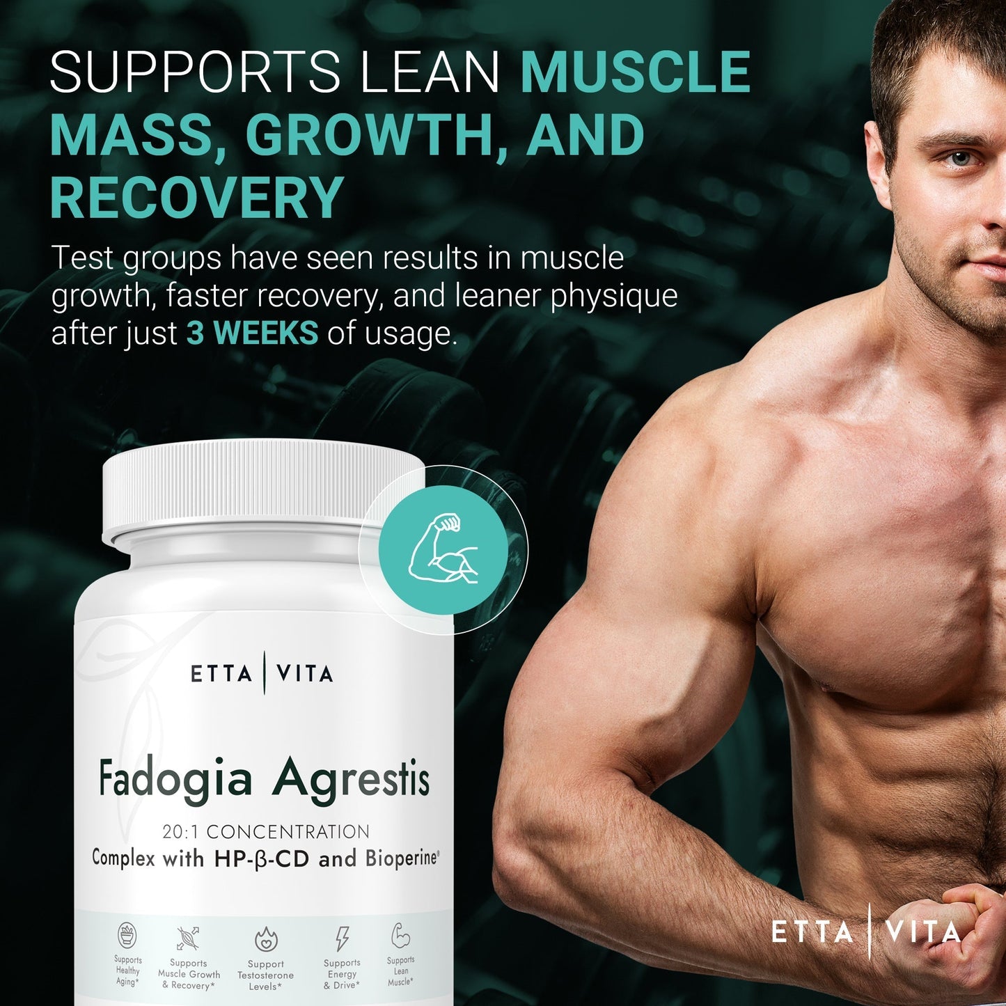 Fadogia Agrestis LP Subscription 3Pk