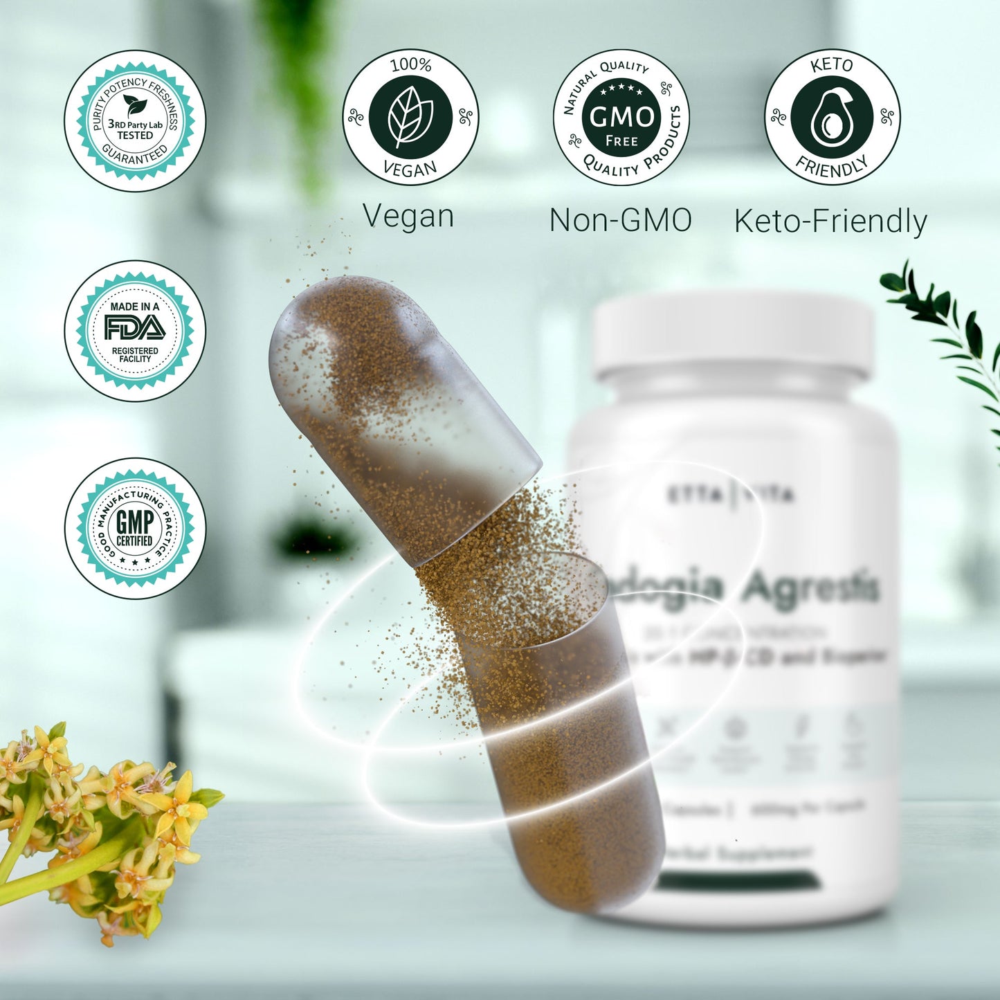 Fadogia Agrestis LP
