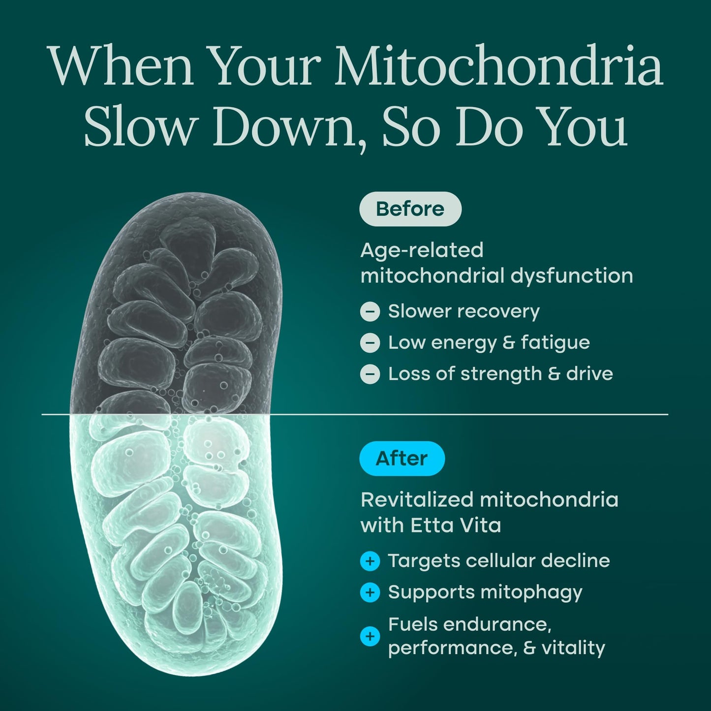 Methylene Blue Drops - USP Pharma Grade - Made In USA