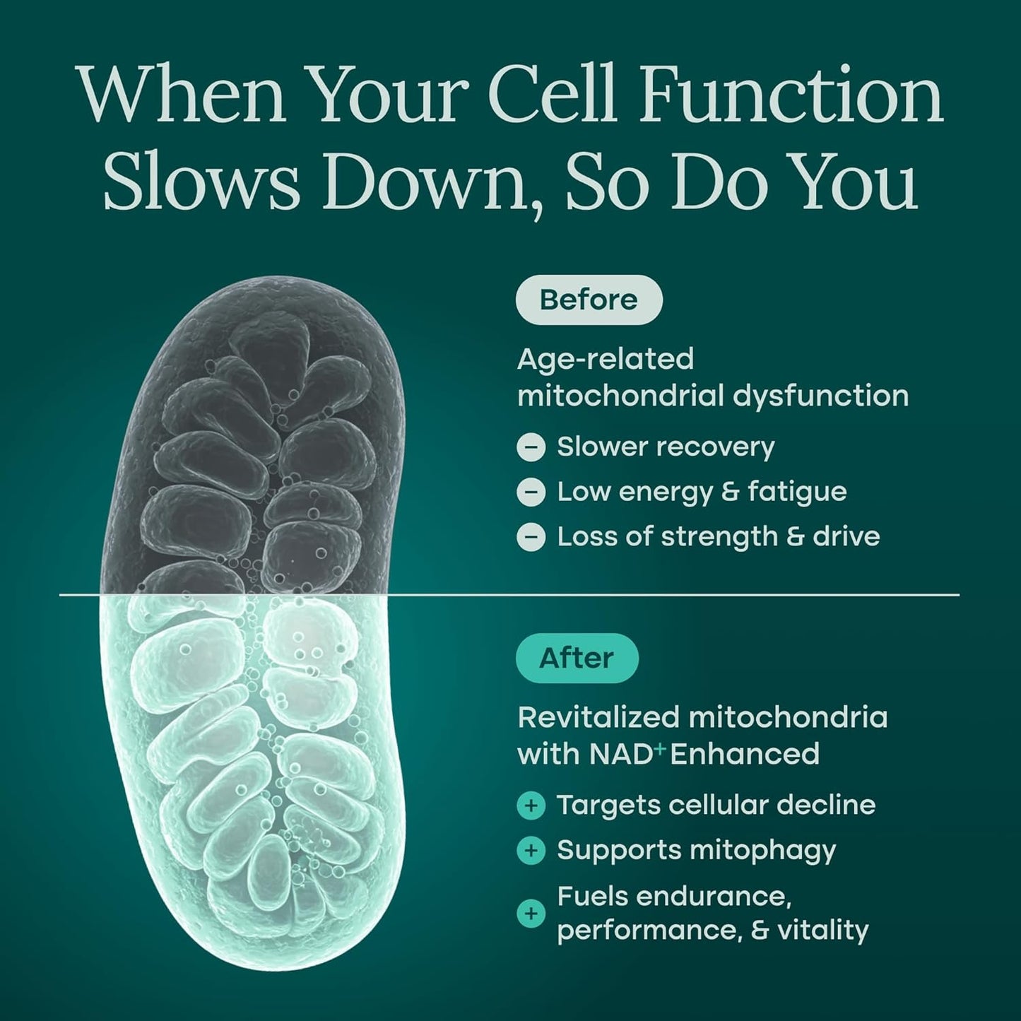 NAD+ Liposomal (NMN Alternative)
