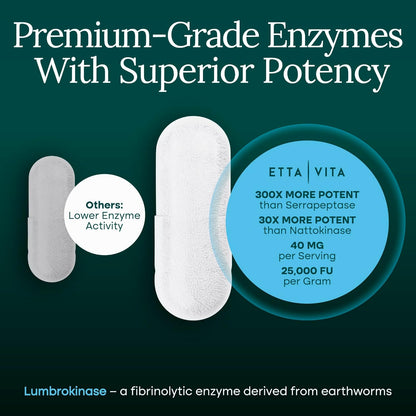 Potent Lumbrokinase Supplement 40mg/Serving (Max Activity - 800,000 Units) - Lumbrokinase Enzymes Capsules for Energy Support, Digestion, Detox, Cognition & Gut Health - Similar to Nattokinase