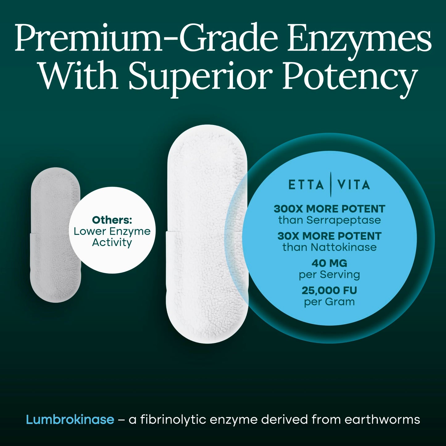 Lumbrokinase Enzymes Capsules for Energy Support, Digestion, Detox, Cognition & Gut Health