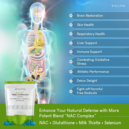 Sugar-Free NAC Brain Complex - Immune Support and Neuro-Health