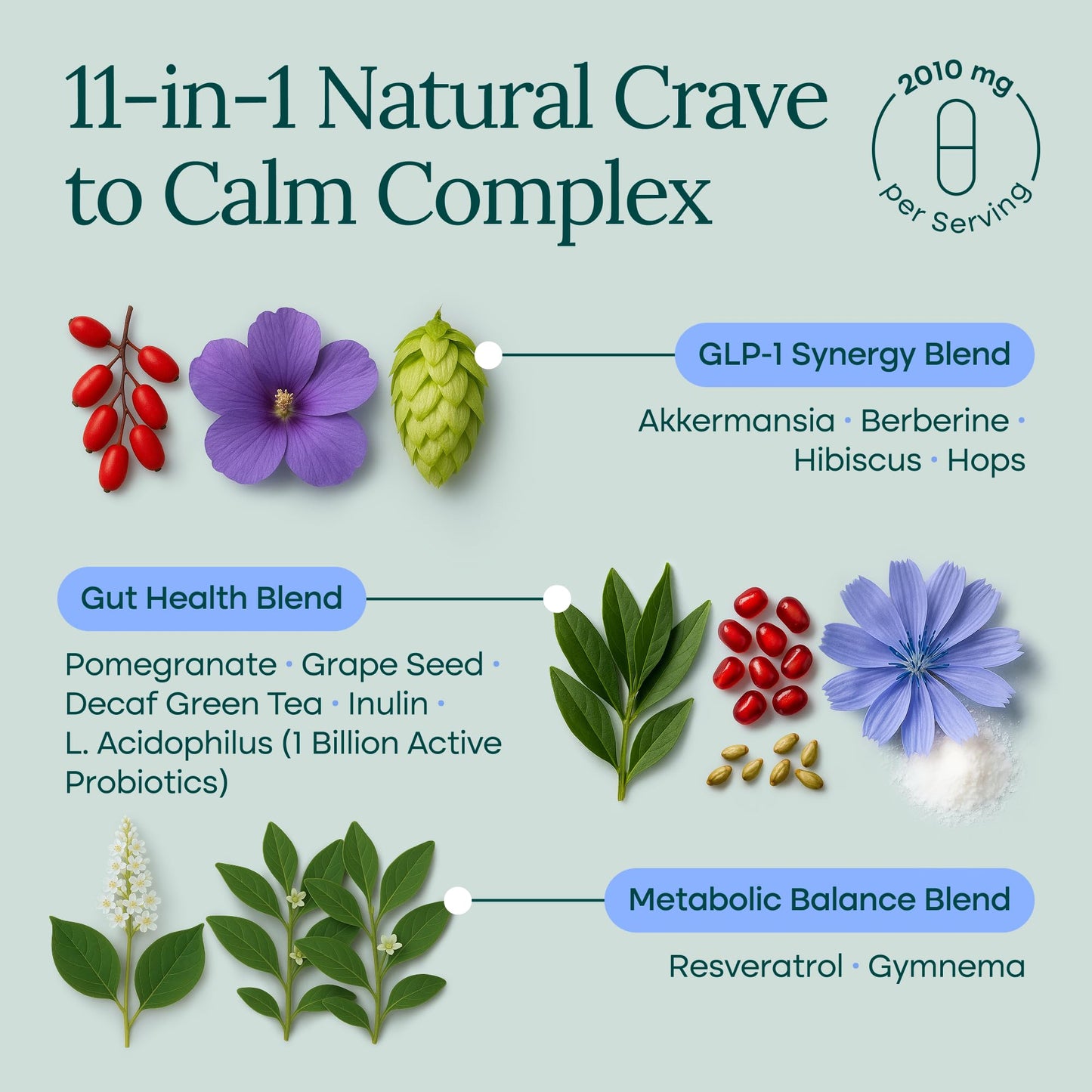 GLP-1 Probiotic Supplement - Appetite Control for Men and Women with Akkermansia, Berberine, Inulin