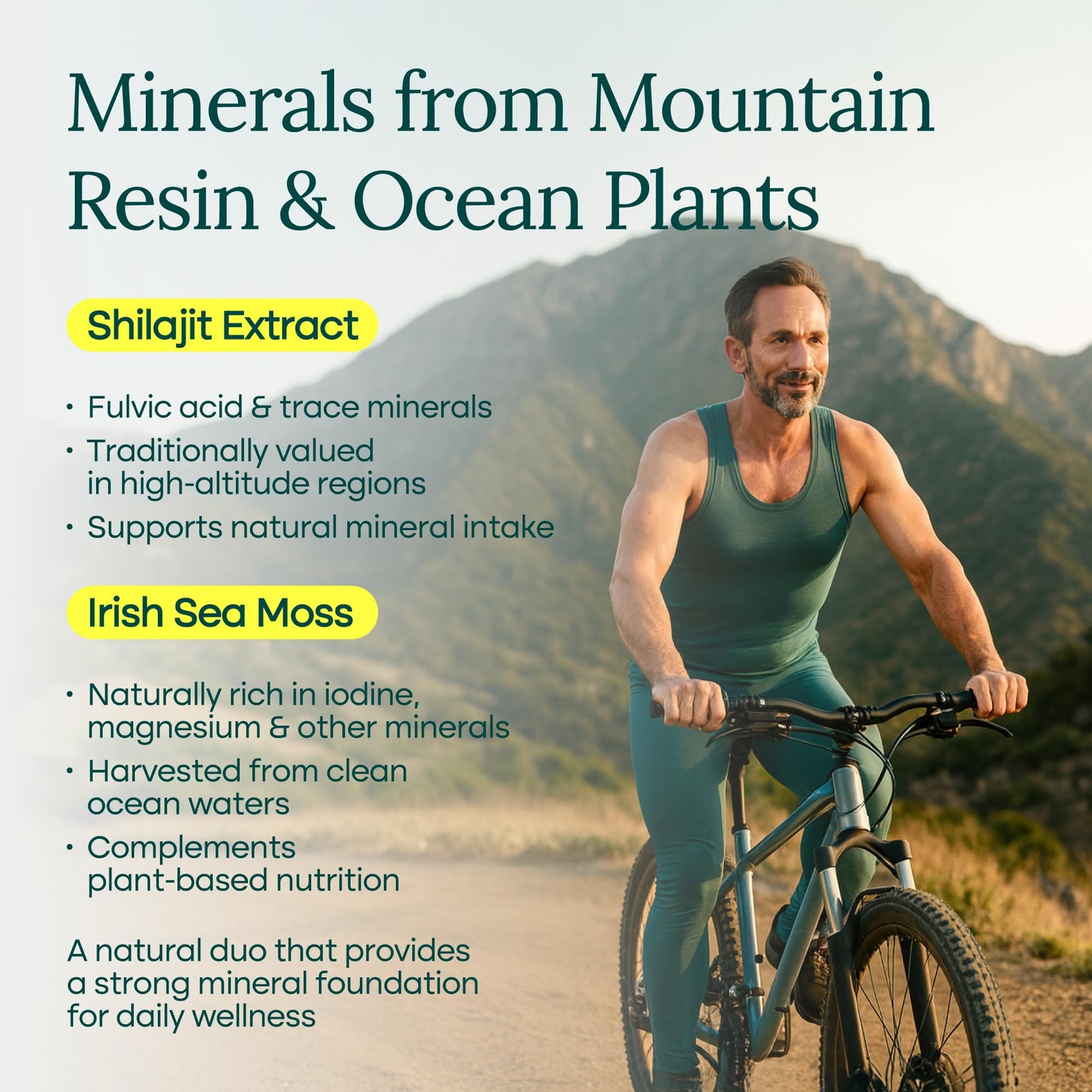 Urolithin-A Complex w Shilajit, Organic Sea Moss, Ashwagandha & Tongkat Ali