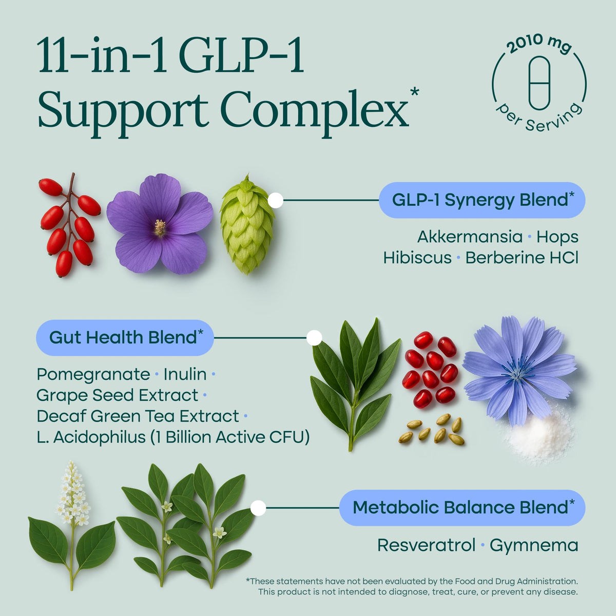 GLP-1 with Akkermansia & Berberine, GLP-1 for Weight Loss Management, 60ct